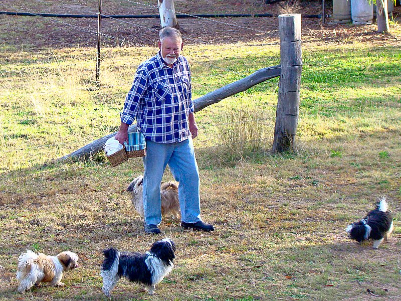 0344_Robin_delivering_bread_with dogs.JPG